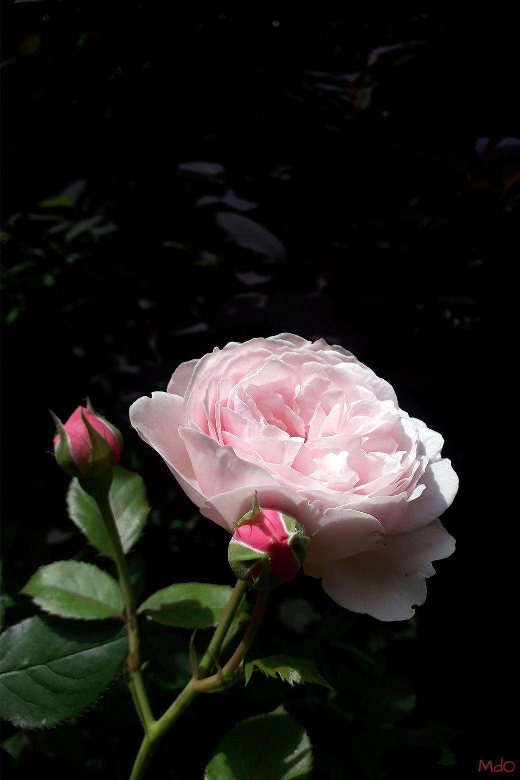 9