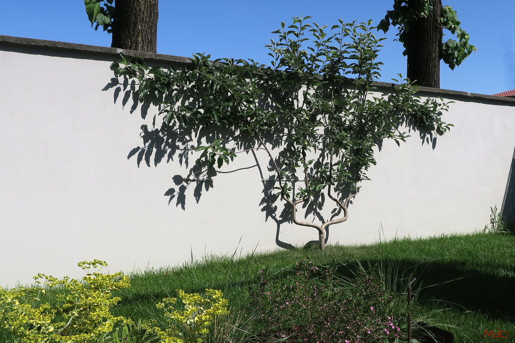 micol-dalloglio-garden-design_10