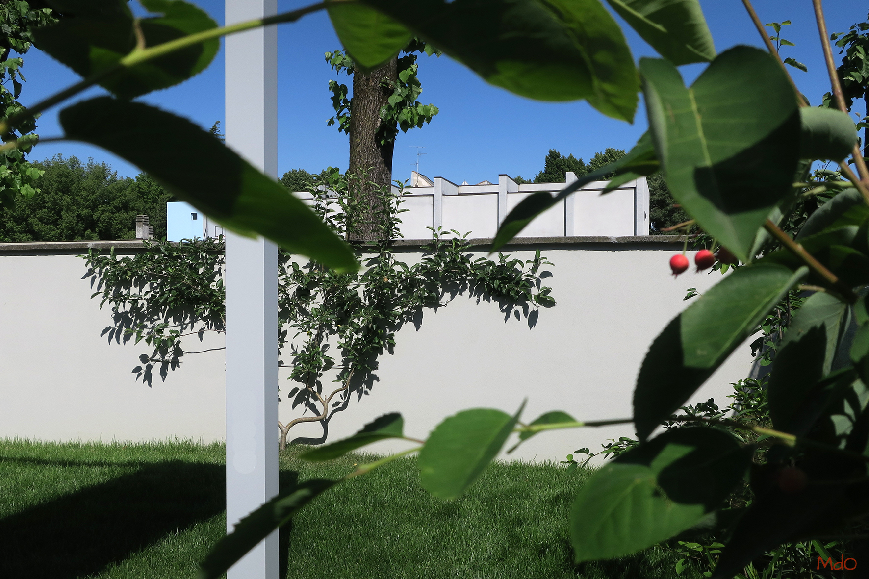 micol-dalloglio-garden-design_13b
