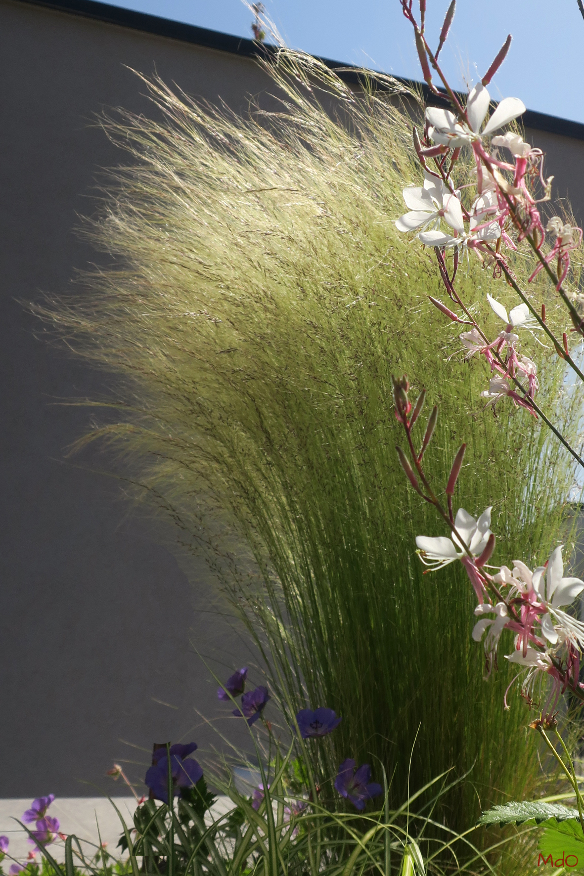 micol-dalloglio-garden-design_3