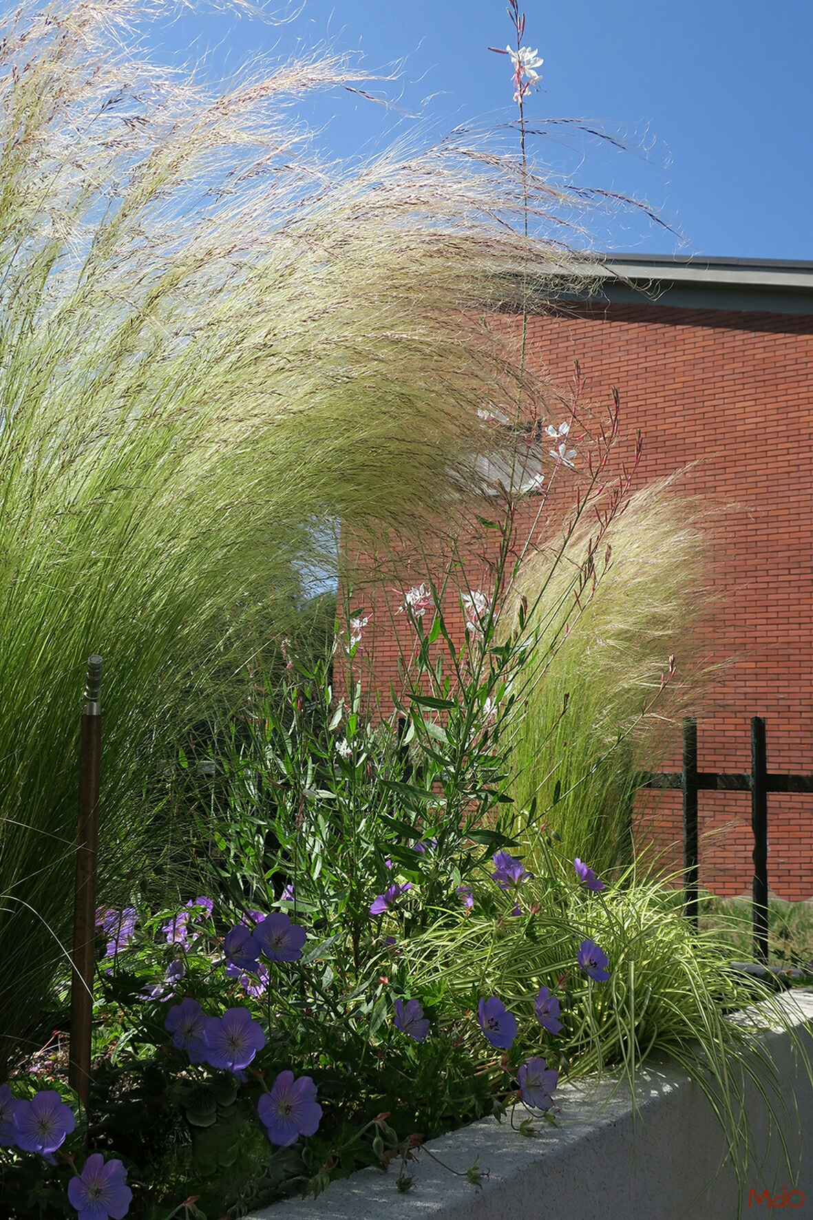 micol-dalloglio-garden-design_4