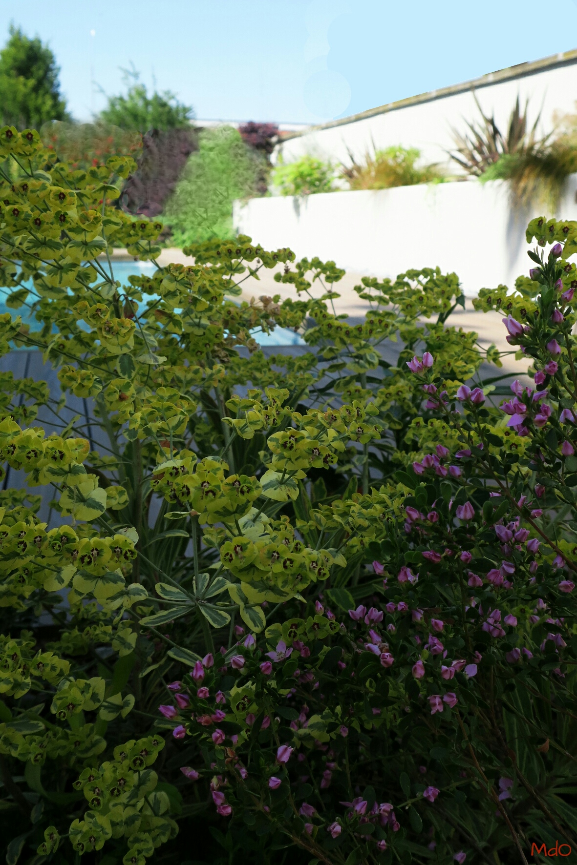 micol-dalloglio-garden-design_8