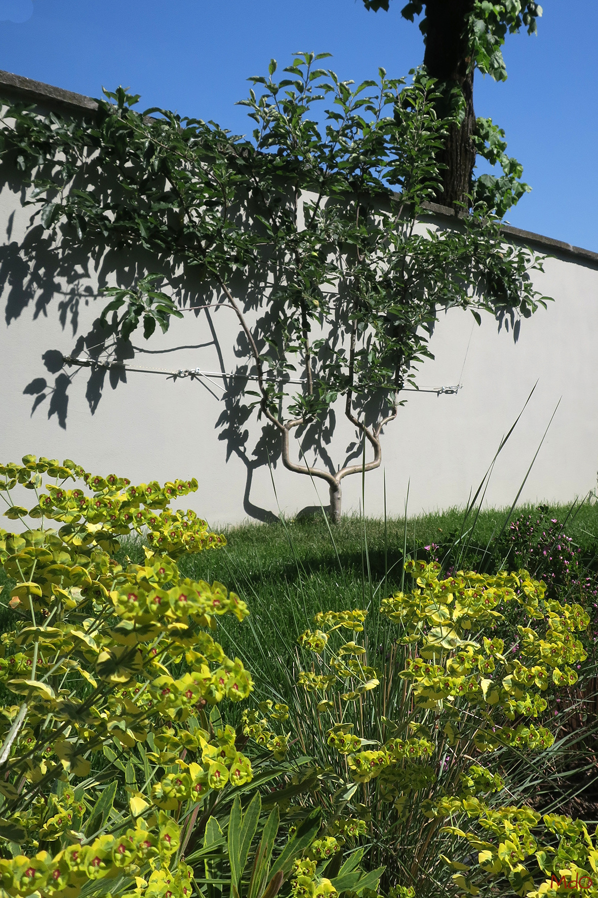 micol-dalloglio-garden-design_9